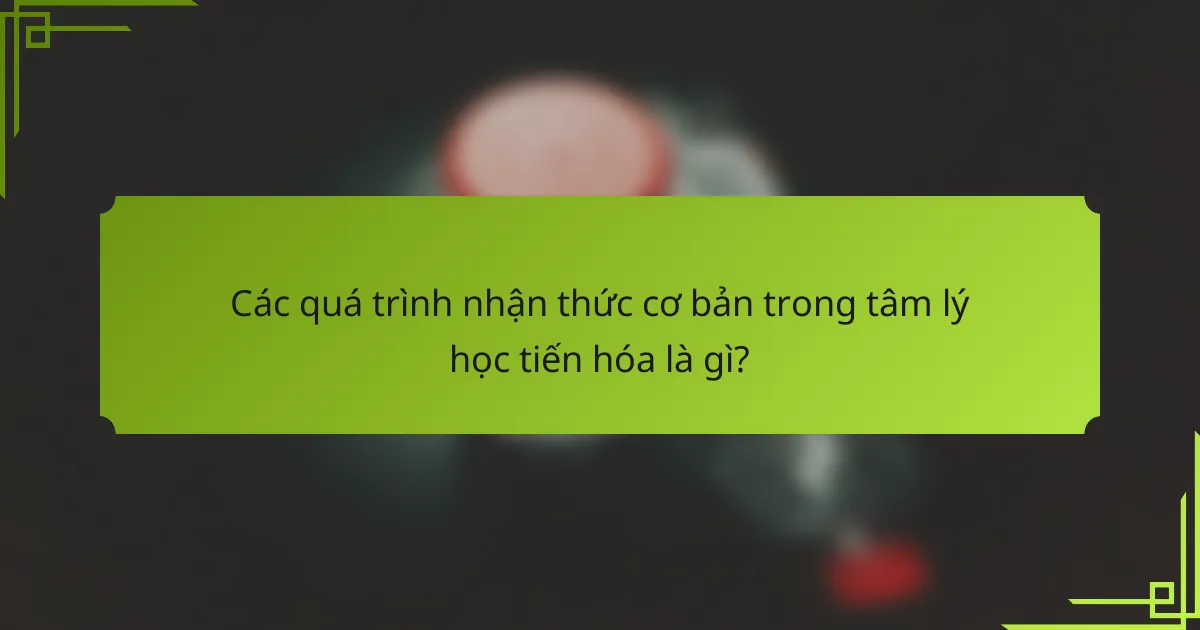 Các quá trình nhận thức cơ bản trong tâm lý học tiến hóa là gì?