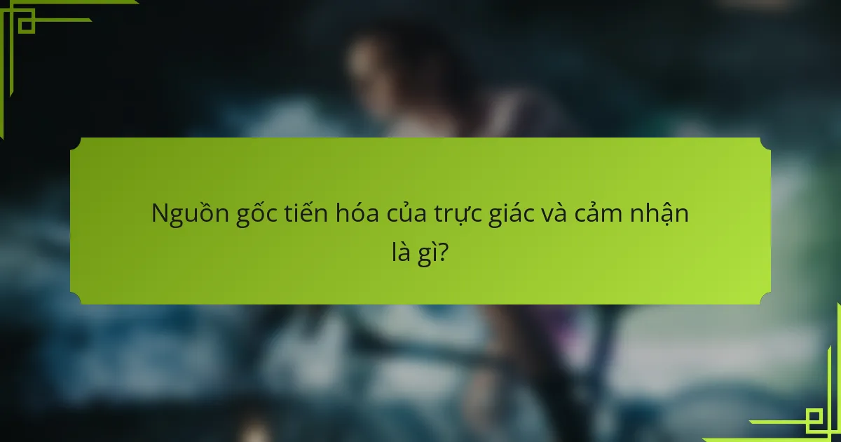 Nguồn gốc tiến hóa của trực giác và cảm nhận là gì?