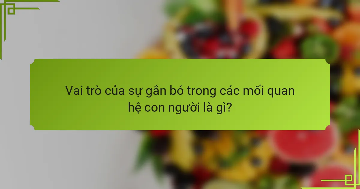 Vai trò của sự gắn bó trong các mối quan hệ con người là gì?